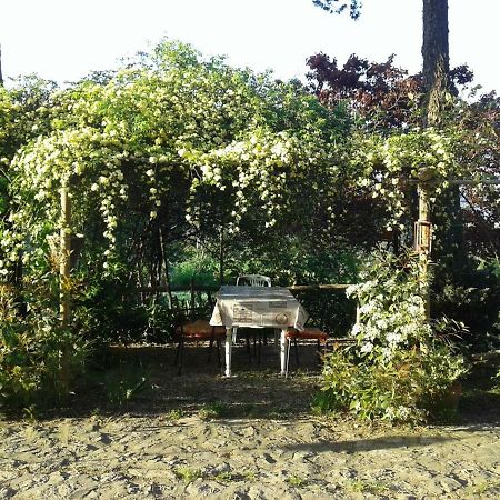 B&B Della Rosa Civitella D'Arna Eksteriør billede