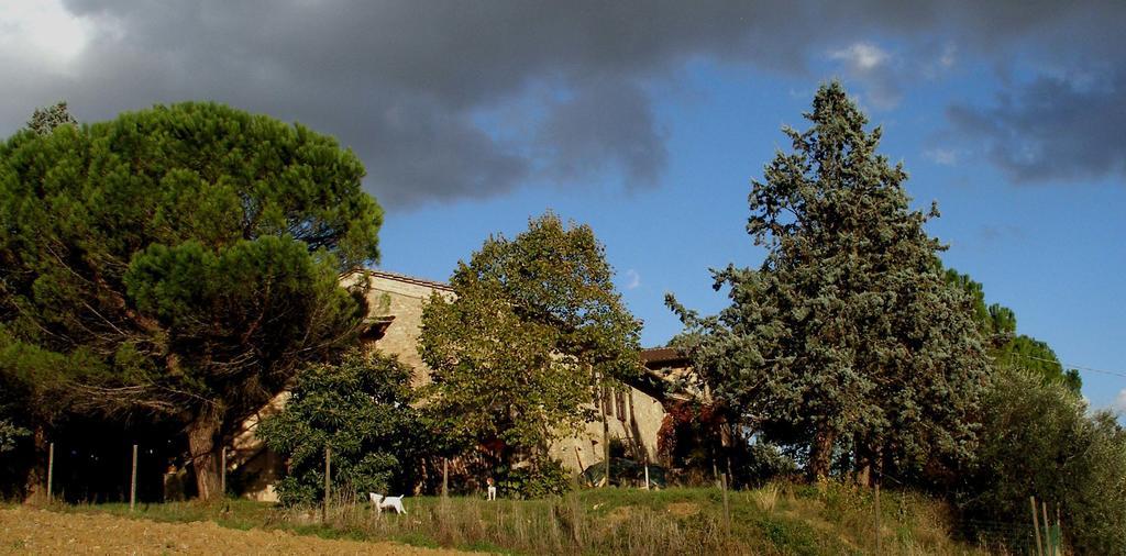 B&B Della Rosa Civitella D'Arna Eksteriør billede