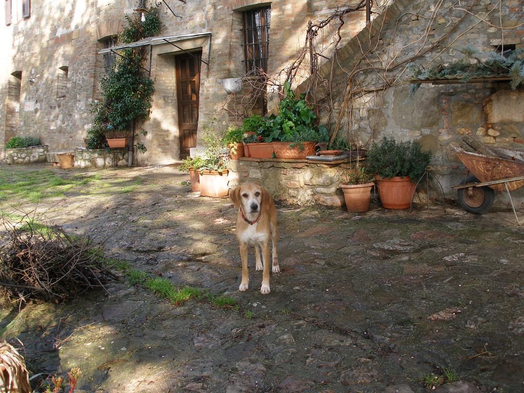 B&B Della Rosa Civitella D'Arna Eksteriør billede