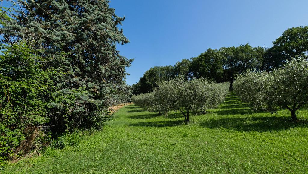 B&B Della Rosa Civitella D'Arna Eksteriør billede
